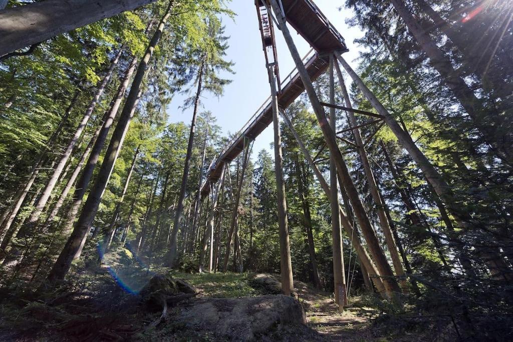 Cozy I Blockhuette Im Nationalpark I Ferienwohnung Neureichenau Kültér fotó