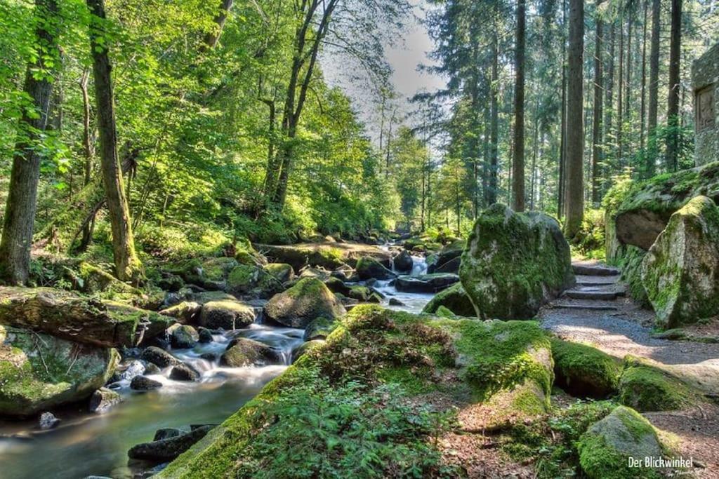 Cozy I Blockhuette Im Nationalpark I Ferienwohnung Neureichenau Kültér fotó