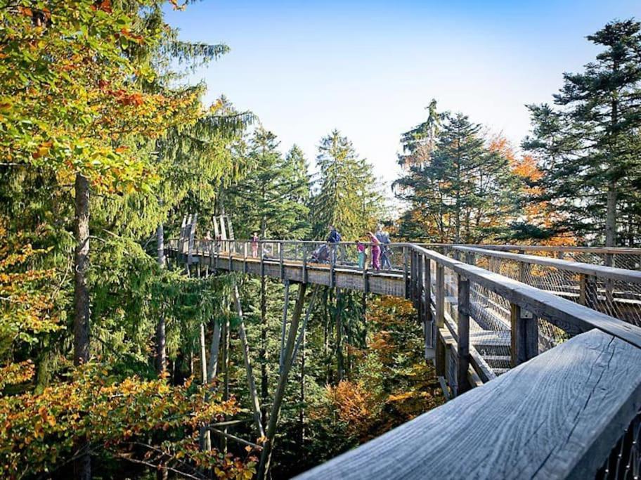 Cozy I Blockhuette Im Nationalpark I Ferienwohnung Neureichenau Kültér fotó