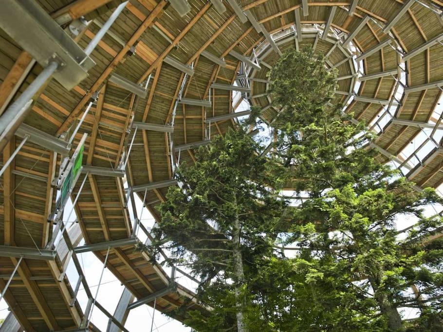 Cozy I Blockhuette Im Nationalpark I Ferienwohnung Neureichenau Kültér fotó