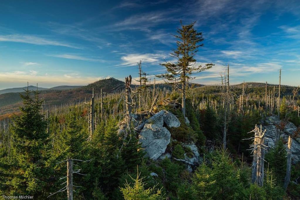 Cozy I Blockhuette Im Nationalpark I Ferienwohnung Neureichenau Kültér fotó